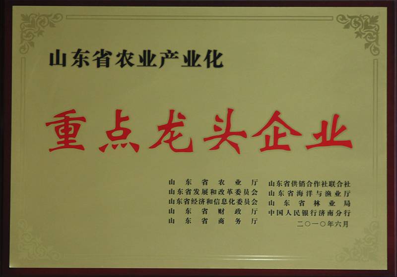 重点龙头企业